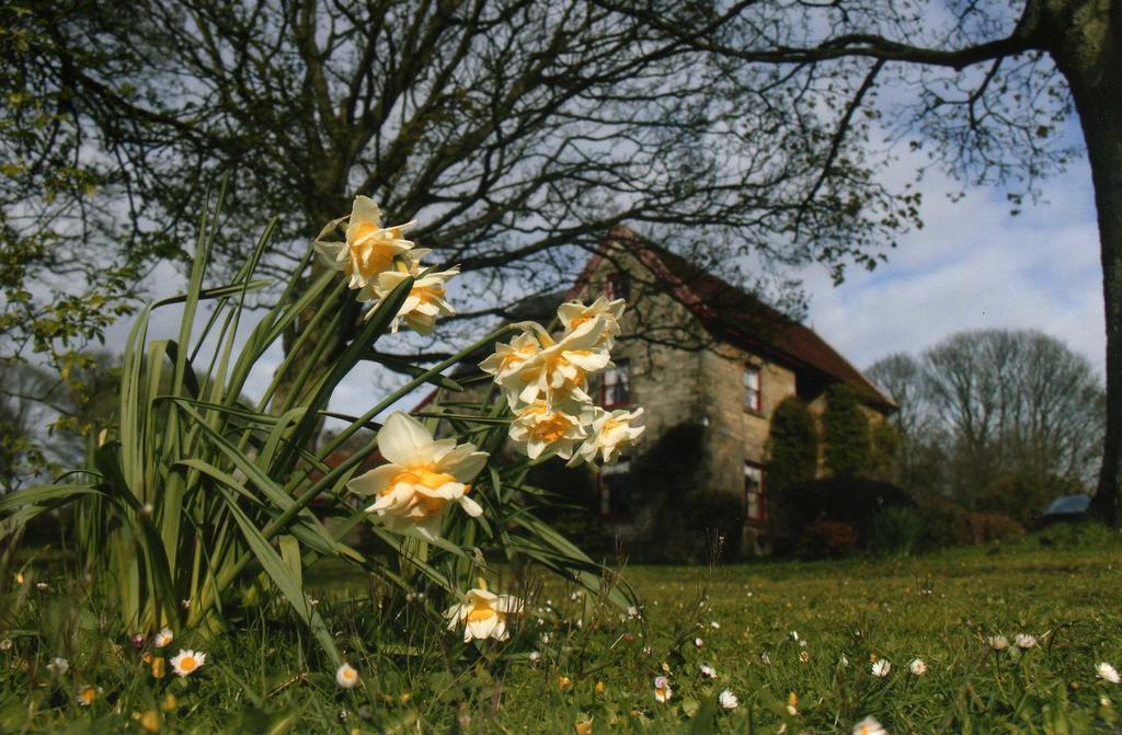 High Farm B&B Pickering Exteriér fotografie